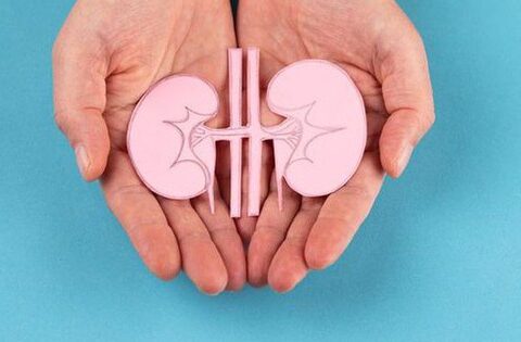 Dinh dưỡng chuyên biệt cho người bệnh thận – Giảm gánh nặng chuyển hóa, tăng cường hồi phục