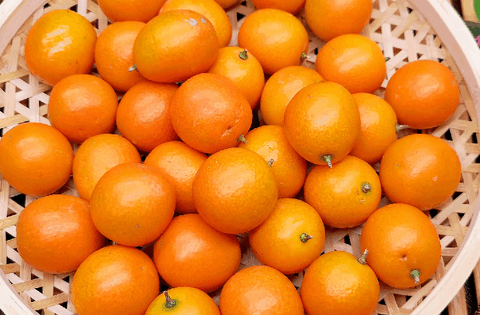 Mua trái cây mùa này, người khôn ngoan đều chọn 5 loại ngon bổ rẻ