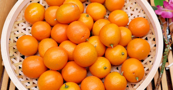 Mua trái cây mùa này, người khôn ngoan đều chọn 5 loại ngon bổ rẻ