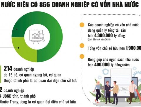 Doanh nghiệp nhà nước: Tập trung vào lĩnh vực then chốt để phát huy vai trò dẫn dắt