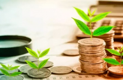 Hiệu suất quỹ đầu tư phân hóa mạnh trong tháng 10 giữa áp lực rút vốn gia tăng