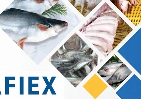 Chuyển động mới của AFIEX trước thềm niêm yết trên HOSE