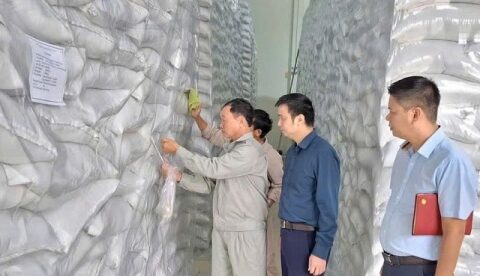 Chi cục Dự trữ Nhà nước khu vực X: “Vượt lũ – thắng bão” hoàn thành mua nhập kho lương thực bổ sung