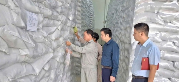 Chi cục Dự trữ Nhà nước khu vực X: “Vượt lũ – thắng bão” hoàn thành mua nhập kho lương thực bổ sung