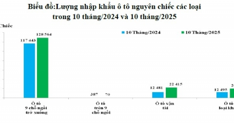 10 tháng/2025: Ô tô nhập khẩu về Việt Nam tăng 20%