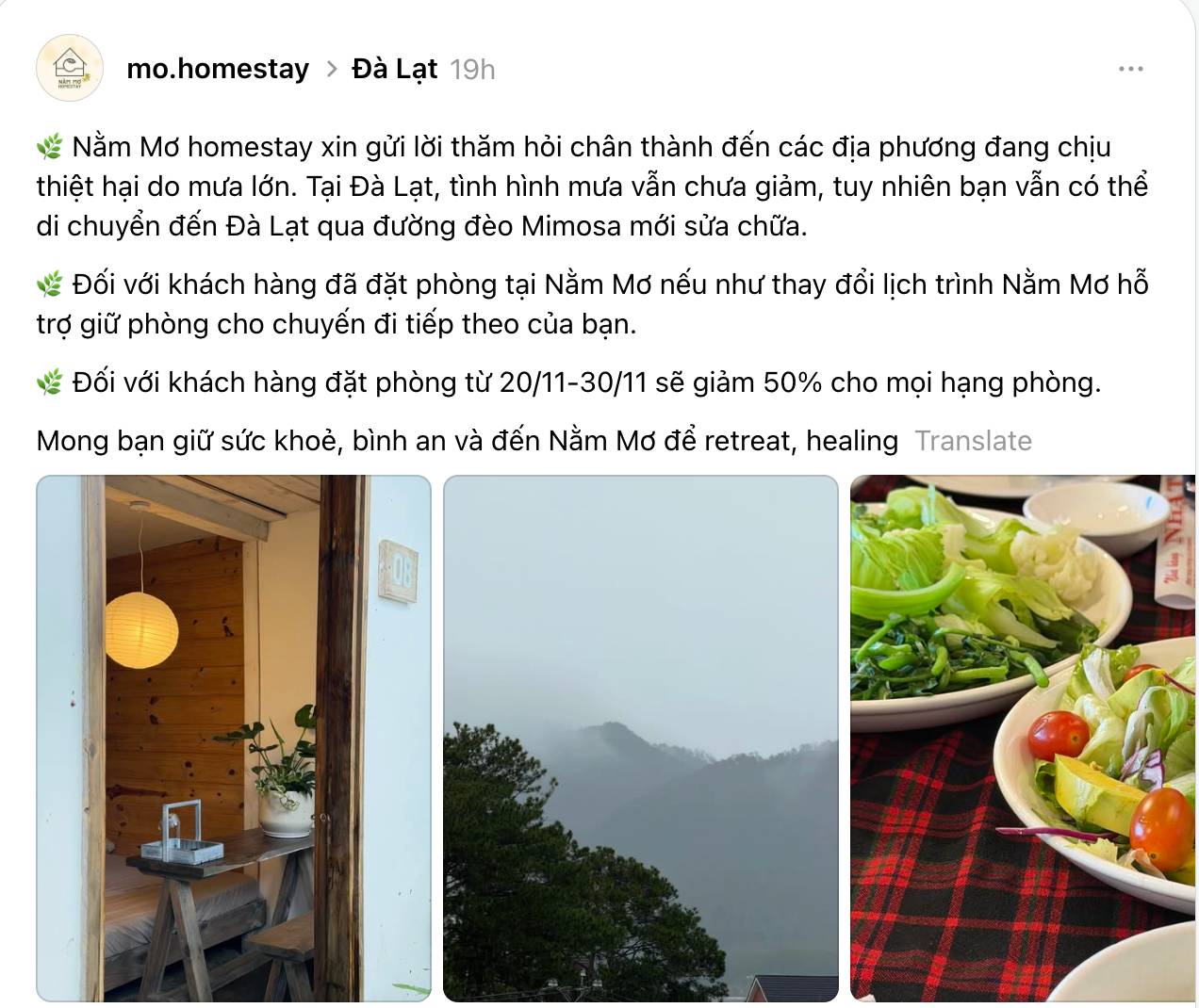 Hàng loạt khách sạn, homestay Đà Lạt thông báo khẩn- Ảnh 4.
