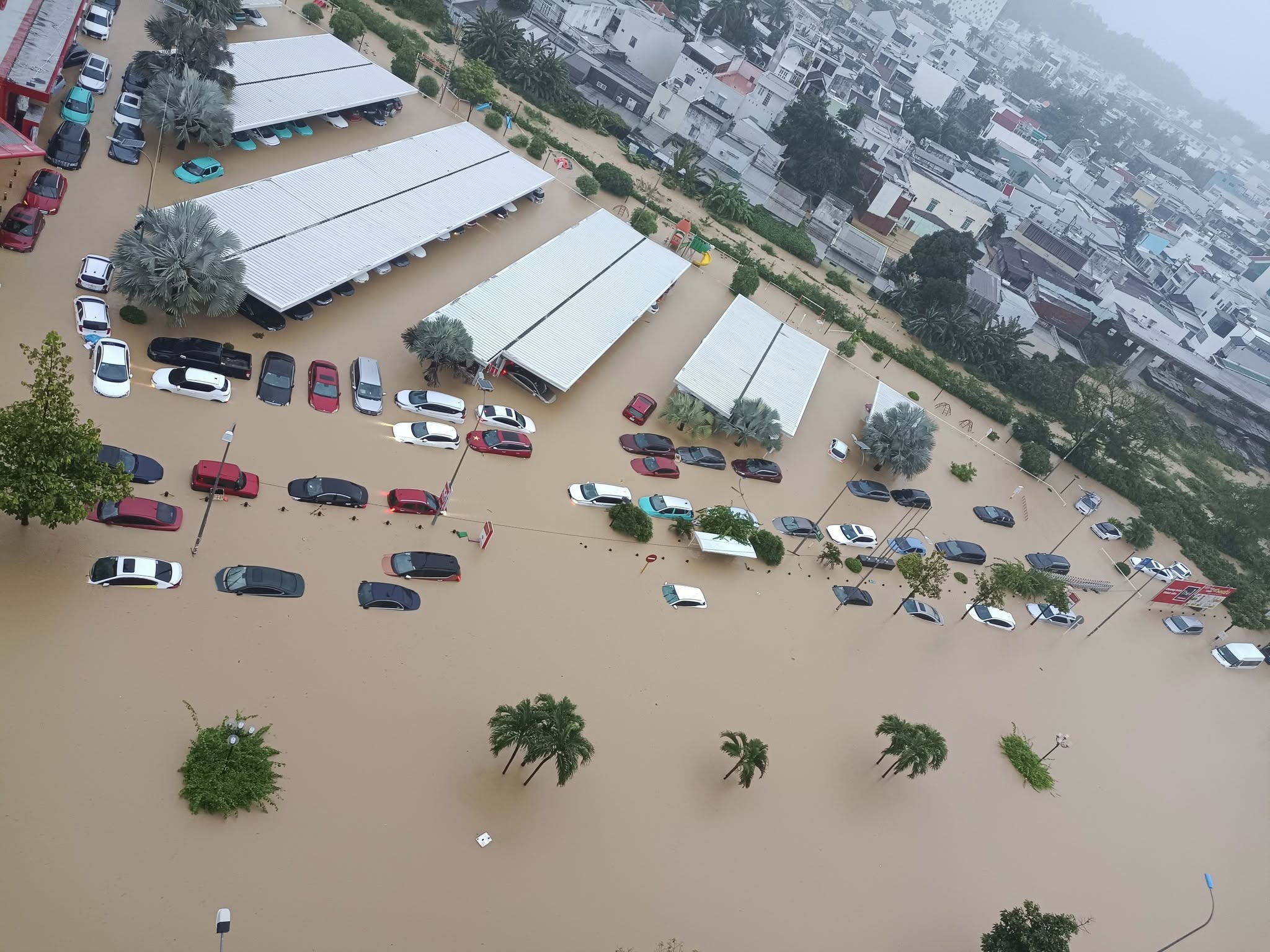 46 người chết và mất tích trong đợt mưa lũ lịch sử, cảnh báo nước trên các sông Khánh Hòa lên lại trong đêm- Ảnh 33.