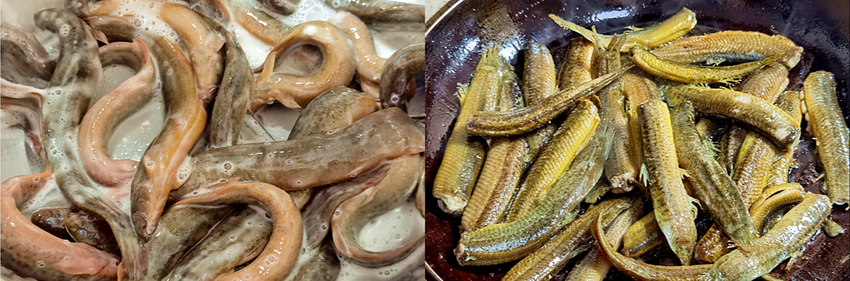 3 loại cá này ngon và bổ dưỡng nhất: Làm 3 món ăn siêu ngon lại giúp bổ não và có hệ miễn dịch tốt- Ảnh 11. 3 loại cá này ngon và bổ dưỡng nhất: Làm 3 món ăn siêu ngon lại giúp bổ não và có hệ miễn dịch tốt- Ảnh 11.