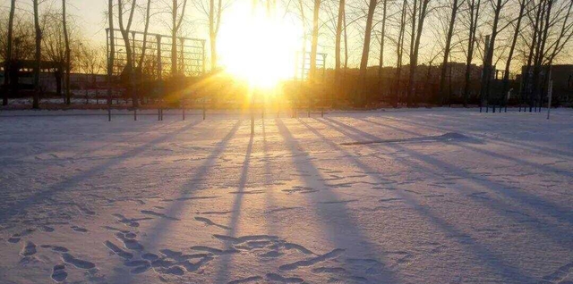 Một thói quen nấu nướng âm thầm làm rỗng xương của cả gia đình, đáng tiếc nhiều bà nội trợ lại vẫn hay 