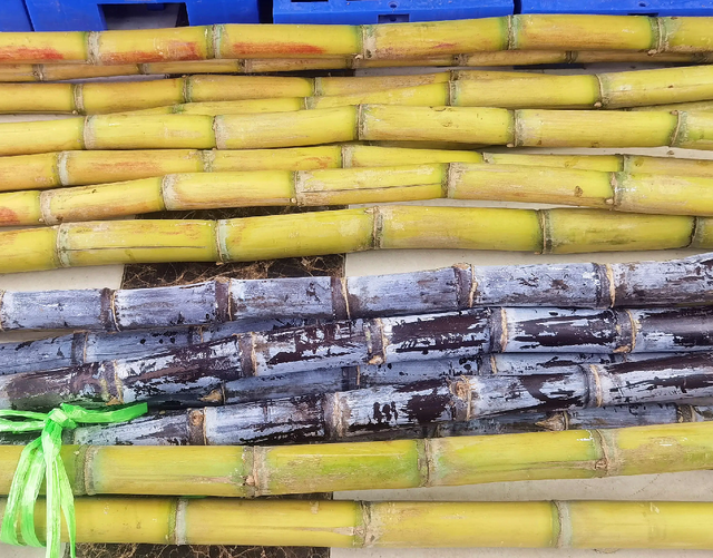 Mua trái cây mùa này, người khôn ngoan đều chọn 5 loại ngon bổ rẻ- Ảnh 3.