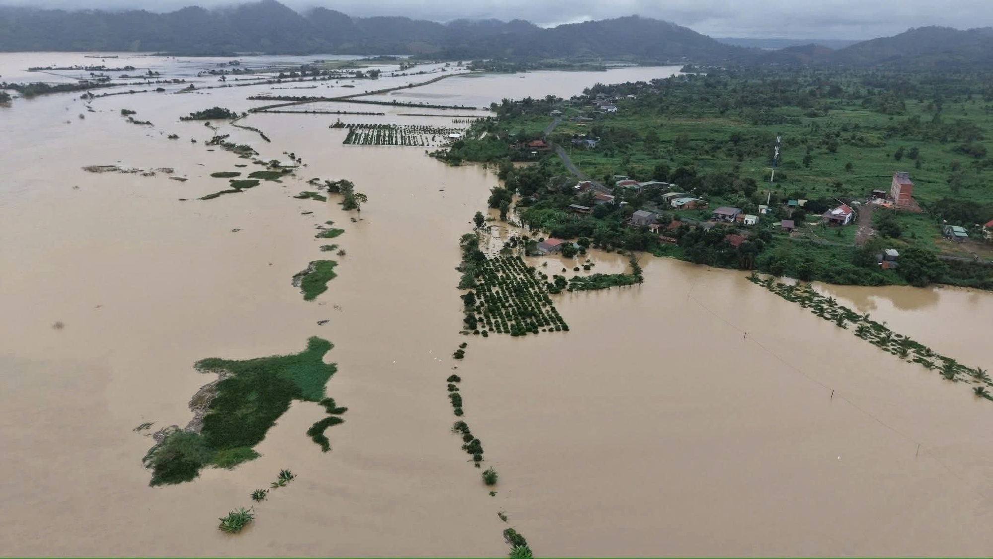 Mưa lũ chiều 21-11: Đắk Lắk công bố tình huống khẩn cấp tại 40 xã, phường- Ảnh 4.