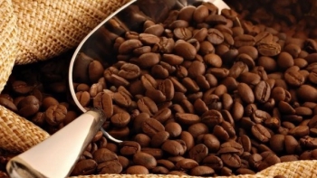 Ngày 26/11: Giá cà phê giảm mạnh, hồ tiêu tiếp đà tăng