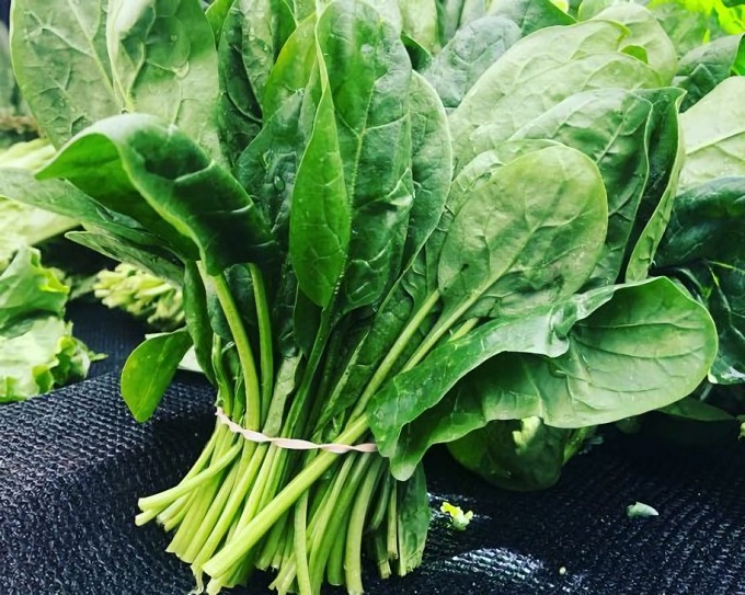 Hướng dẫn chọn thực phẩm giảm cân mùa đông: 10 nguyên liệu ít calo, giàu chất xơ vừa ngon miệng lại giảm cân lành mạnh- Ảnh 5.