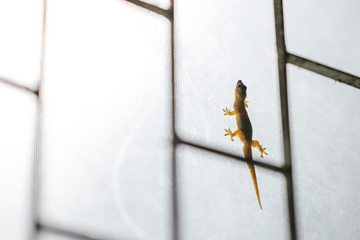 6 tin nhắn ông bố gửi cô giáo giữa đêm khiến loạt phụ huynh 