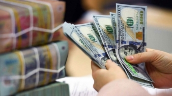 Tỷ giá USD hôm nay (26/11): Thế giới và 