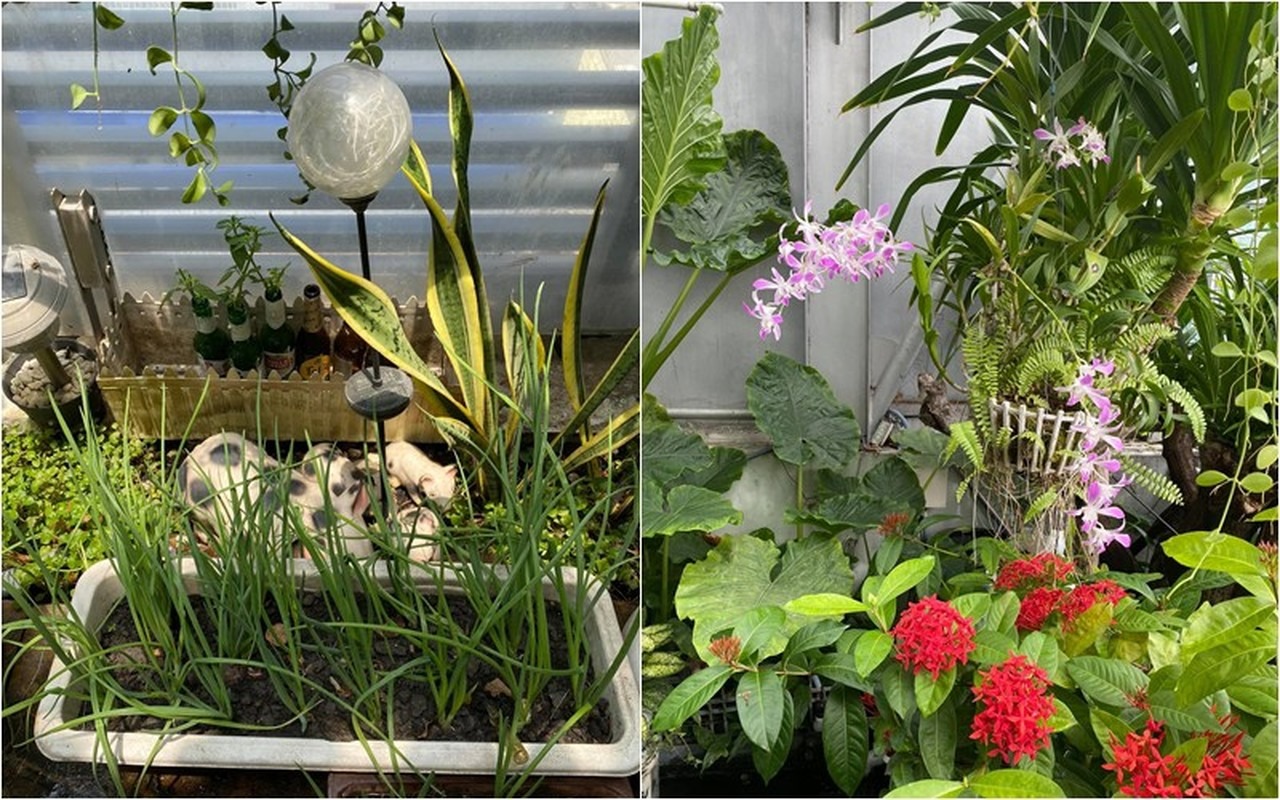 Bên trong ngôi nhà 