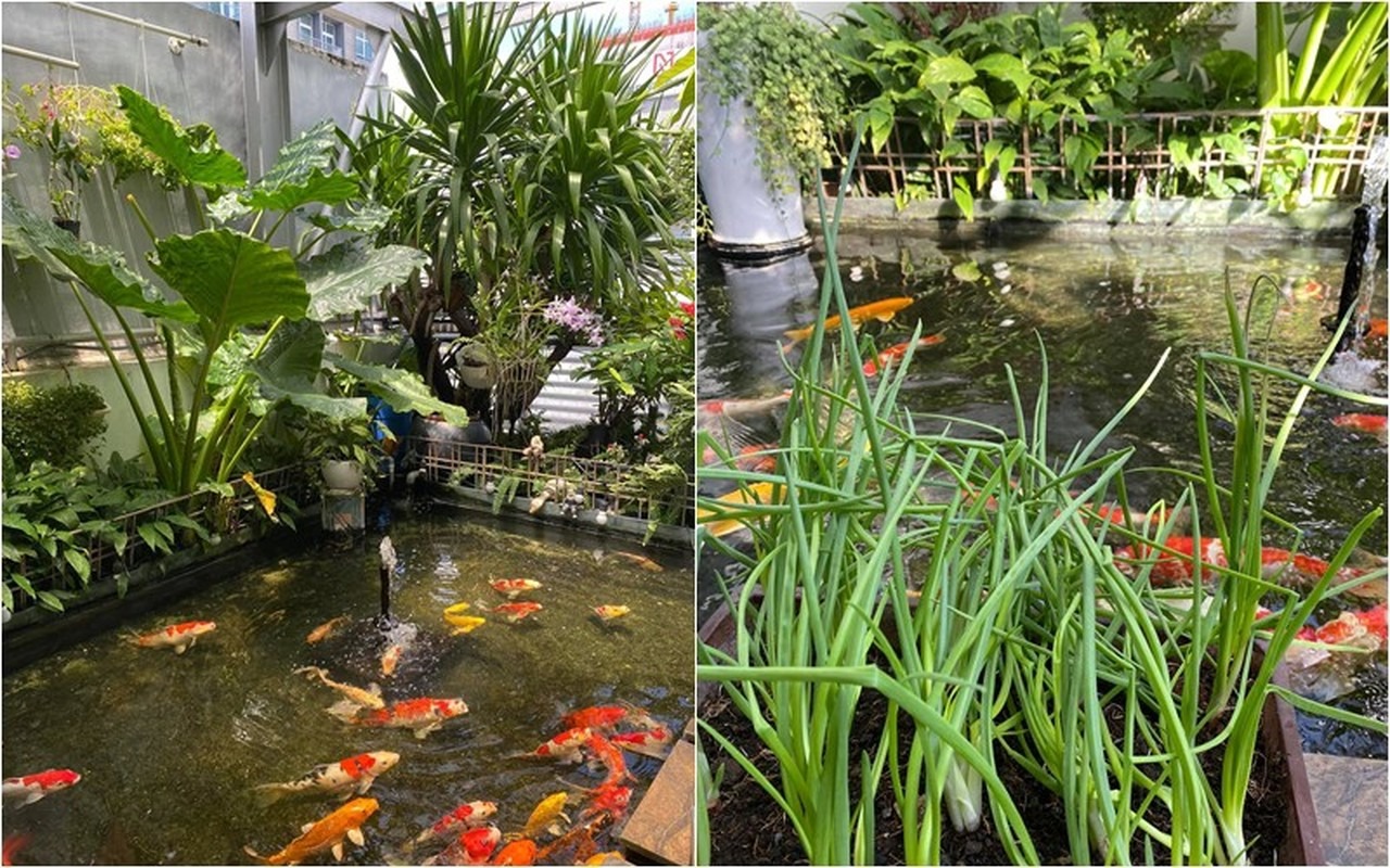 Bên trong ngôi nhà 