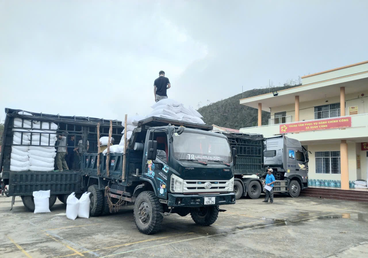 Chính phủ hỗ trợ 1.100 tỷ đồng và 4.000 tấn gạo cho các tỉnh: Khánh Hòa, Lâm Đồng, Gia Lai, Đắk Lắk Chính phủ hỗ trợ 1.100 tỷ đồng và 4.000 tấn gạo cho các tỉnh: Khánh Hòa, Lâm Đồng, Gia Lai, Đắk Lắk