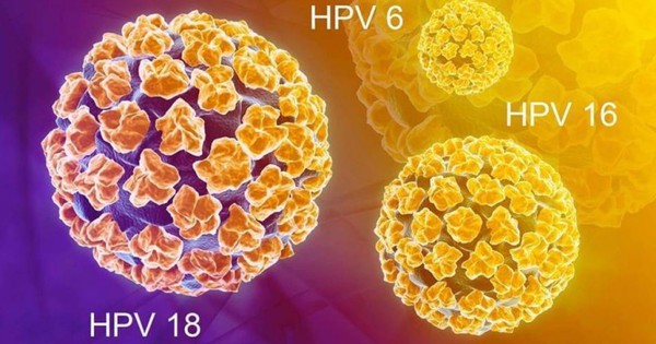 Chủng virus HPV nào dễ gây ung thư cổ tử cung nhất?