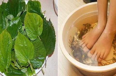 Ngâm chân nước nóng có rất nhiều lợi ích nhưng 5 nhóm người này tốt nhất đừng làm – càng làm nhiều càng hại