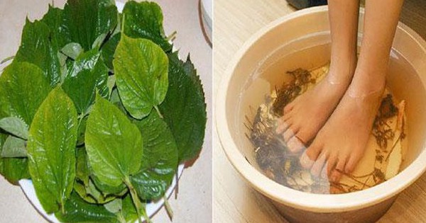 Ngâm chân nước nóng có rất nhiều lợi ích nhưng 5 nhóm người này tốt nhất đừng làm – càng làm nhiều càng hại