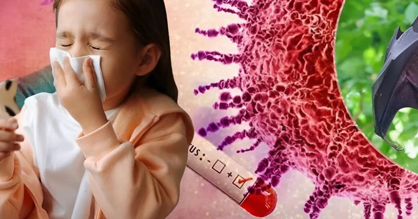 3 bệnh truyền nhiễm được Bộ Y tế bổ sung vào danh mục nhóm A – “bệnh cần giám sát chặt”: Nguy hiểm thế nào?