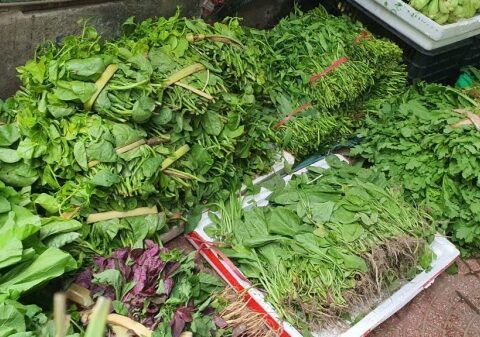 Giá thực phẩm và nhiên liệu leo thang sau mưa lũ kéo CPI tháng 11 tăng 0,45%