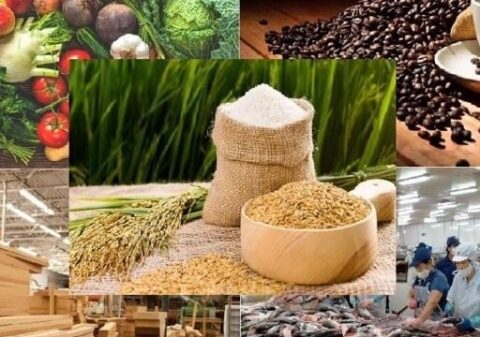 11 tháng, xuất khẩu nông, lâm, thủy sản thu về 64,01 tỷ USD