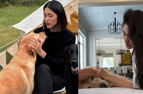 Tăng Thanh Hà khóc vì chó cưng Molly mất