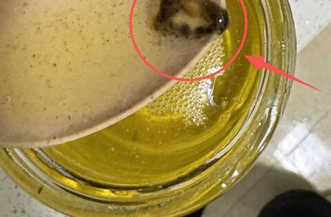 Có 5 thứ trong nhà “bị hỏng” trước hạn sử dụng! Xem để không đánh cược với sức khỏe gia đình bạn