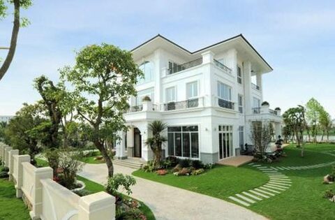 Nhà trồng 4 cây này thì giữ cho kỹ, gia chủ không giàu cũng khó mà nghèo, chặt đi là mất lộc ngay