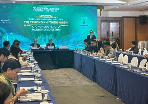 Phát triển thị trường khí thiên nhiên: Thách thức thể chế trong bài toán an ninh năng lượng