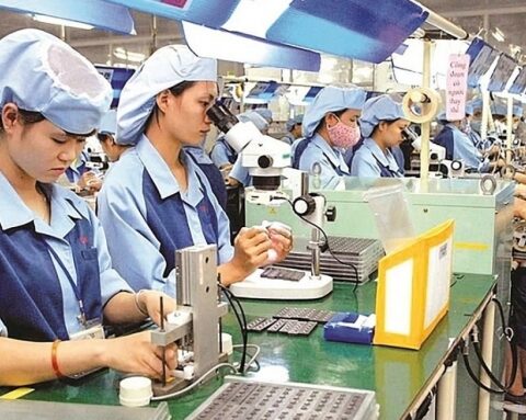 Kỳ vọng nguồn hàng chất lượng từ khối doanh nghiệp FDI