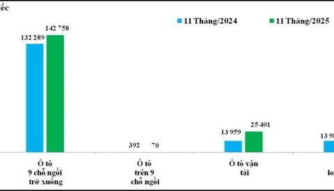 Nhập khẩu ô tô tháng 11 tăng tốc, xe từ ASEAN và Trung Quốc chiếm áp đảo