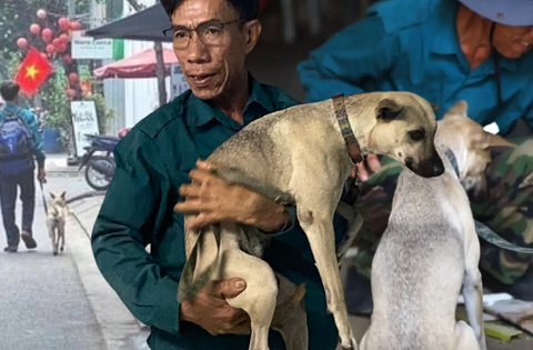 Phía sau bức ảnh người đàn ông lang thang cùng chú chó ở TP.HCM, xin việc hơn 30 công trình đều bị từ chối