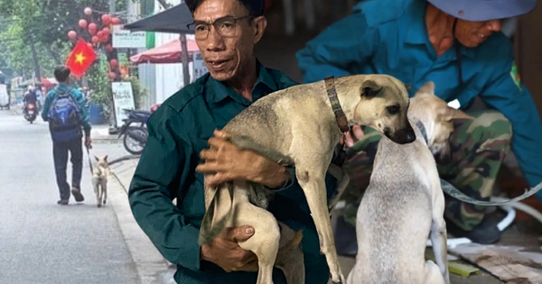 Phía sau bức ảnh người đàn ông lang thang cùng chú chó ở TP.HCM, xin việc hơn 30 công trình đều bị từ chối