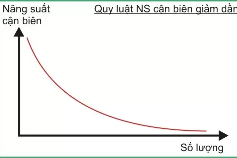 Năng suất biên là gì? Quy luật năng suất biên giảm dần 