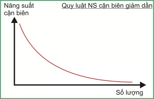 Năng suất biên là gì? Quy luật năng suất biên giảm dần