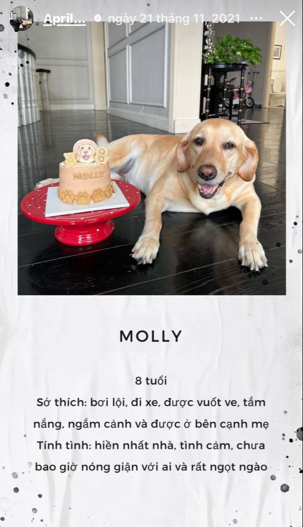 Chia buồn cùng Tăng Thanh Hà- Ảnh 5.