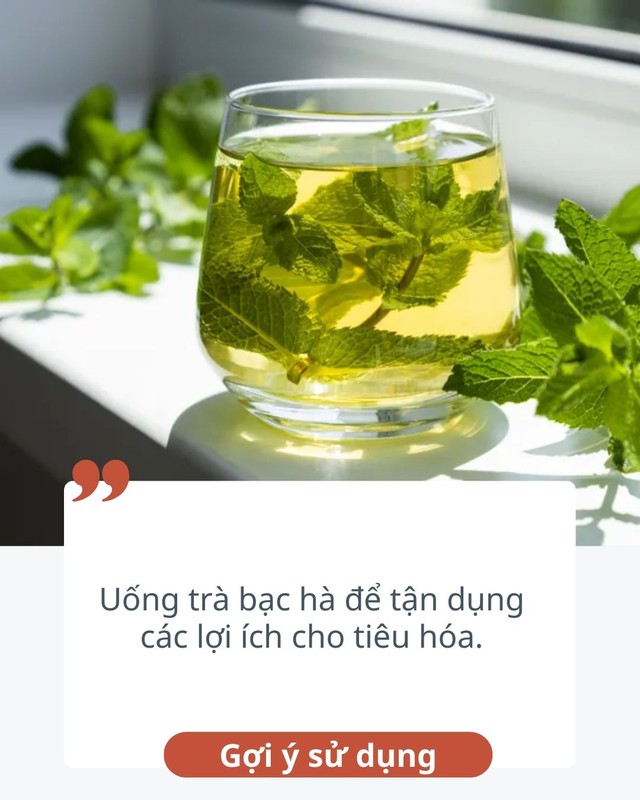 10 thực phẩm hỗ trợ tiêu hóa còn tốt hơn cả gừng, ai 