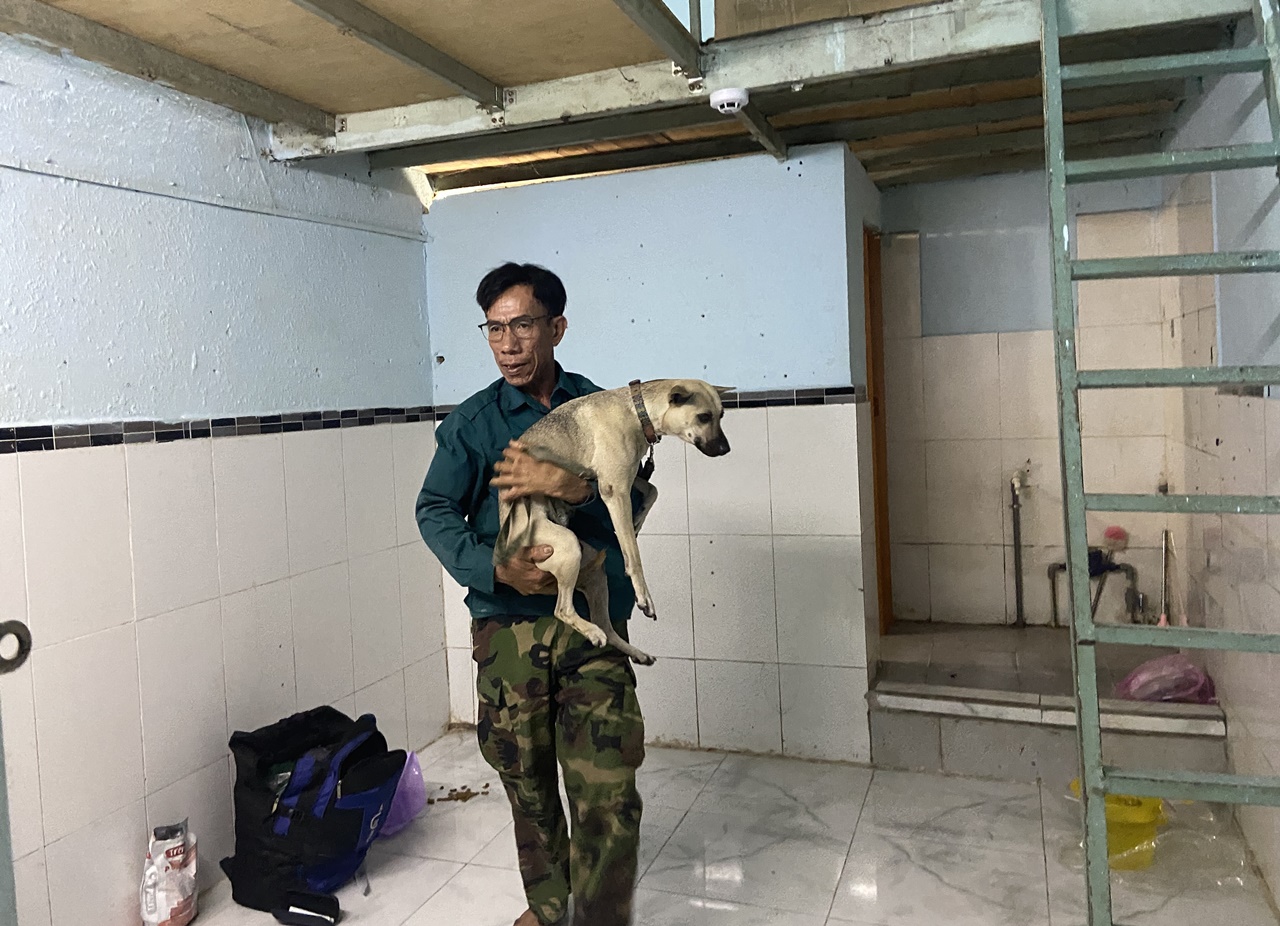 Phía sau bức ảnh người đàn ông lang thang cùng chú chó ở TP.HCM, xin việc hơn 30 công trình đều bị từ chối- Ảnh 4. Phía sau bức ảnh người đàn ông lang thang cùng chú chó ở TP.HCM, xin việc hơn 30 công trình đều bị từ chối- Ảnh 4.