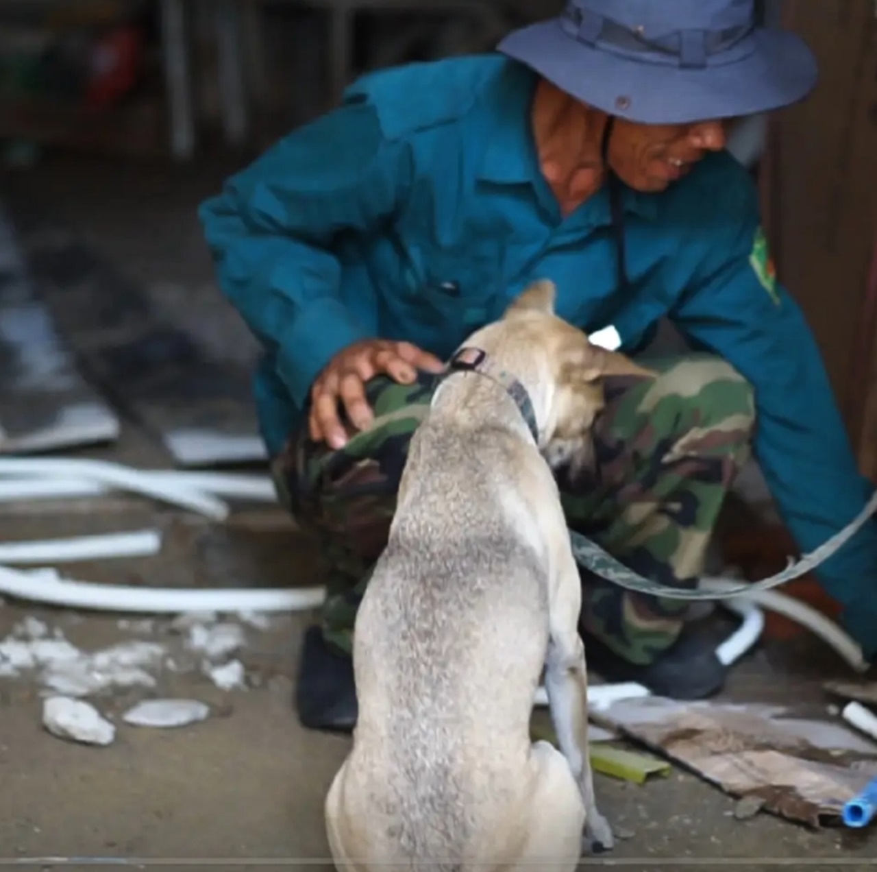 Phía sau bức ảnh người đàn ông lang thang cùng chú chó ở TP.HCM, xin việc hơn 30 công trình đều bị từ chối- Ảnh 6. Phía sau bức ảnh người đàn ông lang thang cùng chú chó ở TP.HCM, xin việc hơn 30 công trình đều bị từ chối- Ảnh 6.