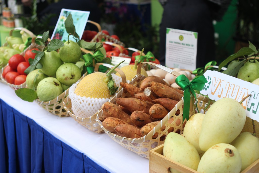 Dấu ấn của Học viện Nông nghiệp Việt Nam tại TechFest 2025: Công nghệ Nông nghiệp lên ngôi- Ảnh 1.