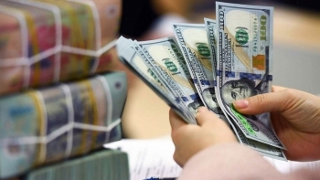 Tỷ giá USD hôm nay (23/12): Thế giới và