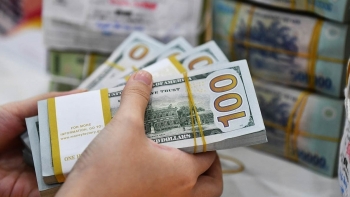 Tỷ giá USD hôm nay (25/12): Thế giới tăng,