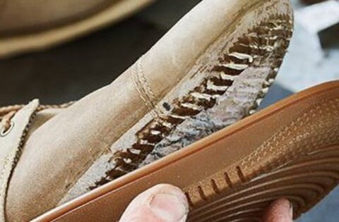 Vì sao giày để lâu nhanh hỏng hơn giày đi thường xuyên?
