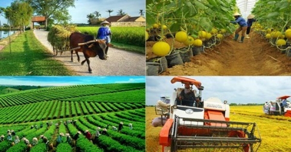 Ngành Nông nghiệp và Môi trường tiếp tục khẳng định vai trò trụ cột