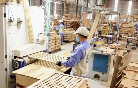 Năm 2025, lâm sản xuất siêu hơn 14,8 tỷ USD