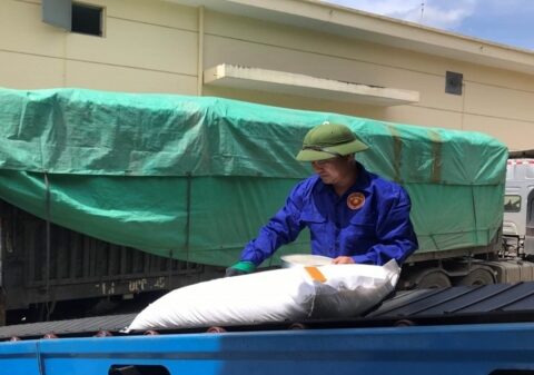 Xuất cấp hơn 800 tấn gạo dự trữ quốc gia hỗ trợ nhân dân Cao Bằng dịp Tết Nguyên đán 2026