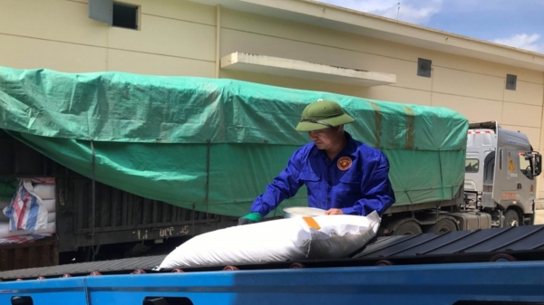 Xuất cấp hơn 800 tấn gạo dự trữ quốc gia hỗ trợ nhân dân Cao Bằng dịp Tết Nguyên đán 2026